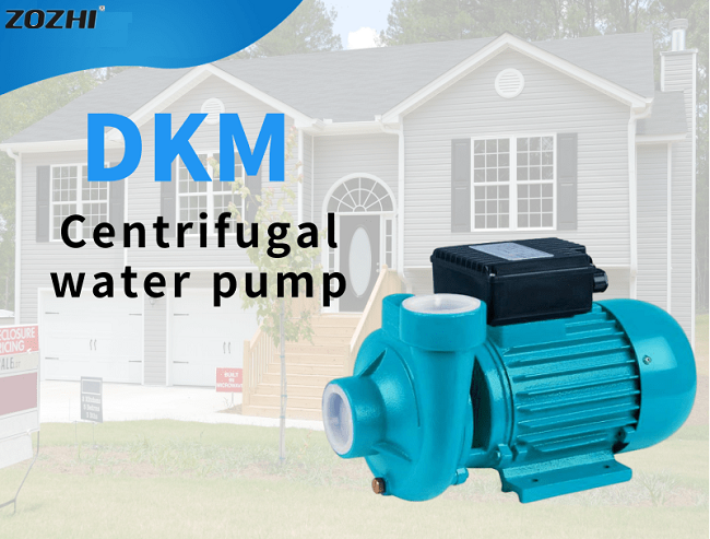Pompe à eau de DKM