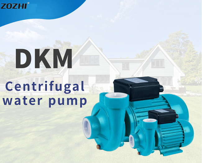 Pompe à eau centrifuge de DKM