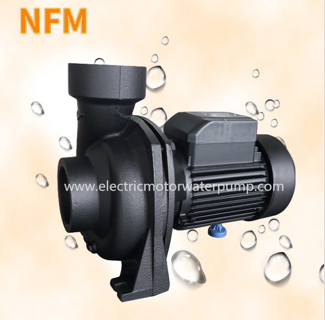 Pompe à eau de NFM