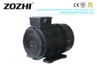 Three Phase Aluminium Induction Motor Hollow Shaft 7.5KW 132S2-2 For Industrial Cleaning