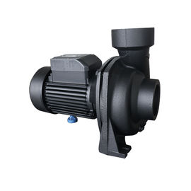 IP54 IP55 Single Stage Centrifugal Pump , NFM Series Water Clean Pump NFM-129A