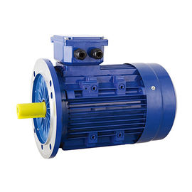 2 4 Pole AC Induction IE2 Three Phase Electric Motor