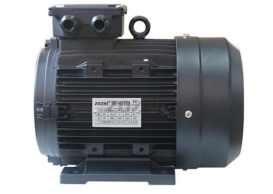 100mm Shaft Length Hollow Shaft Motor With IP55 Protection Class