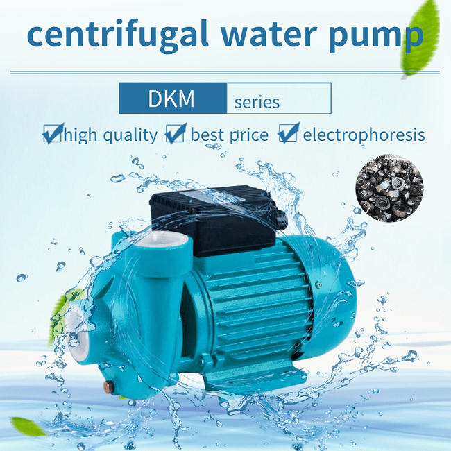 Pompe à eau centrifuge de DKM
