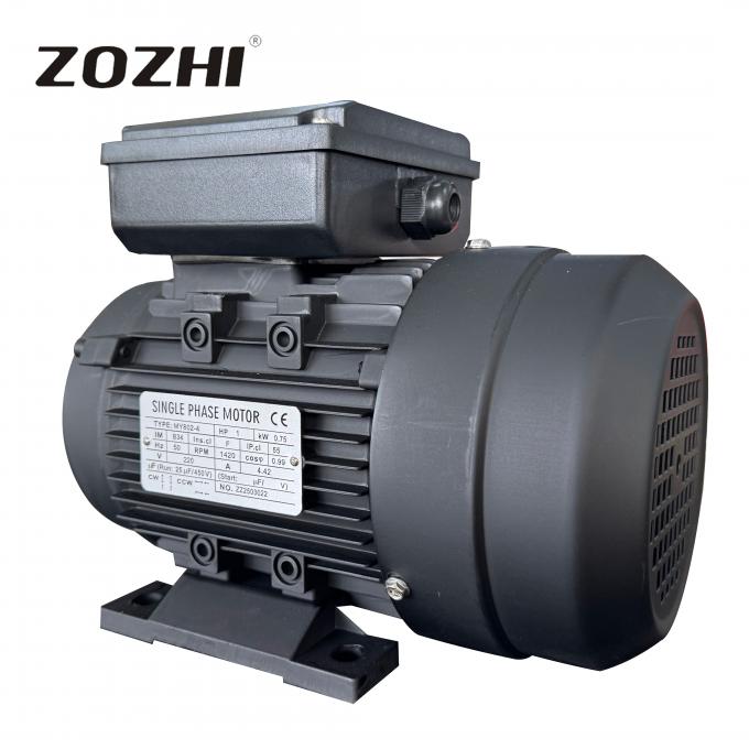 50 Hz 0,75 kW 1 HP 1440 tours par minute Condensateur monophasique d&eacute;marrer fonctionner moteur d'induction asynchrone 220V/230V AC Voltage 60Hz 1