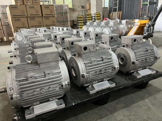 Moteur électrique asynchrone étanche 50Hz 60Hz 0,09kW 0,12CV à quatre pôles 380V 1500RPM triphasé fermé 220V CA 17