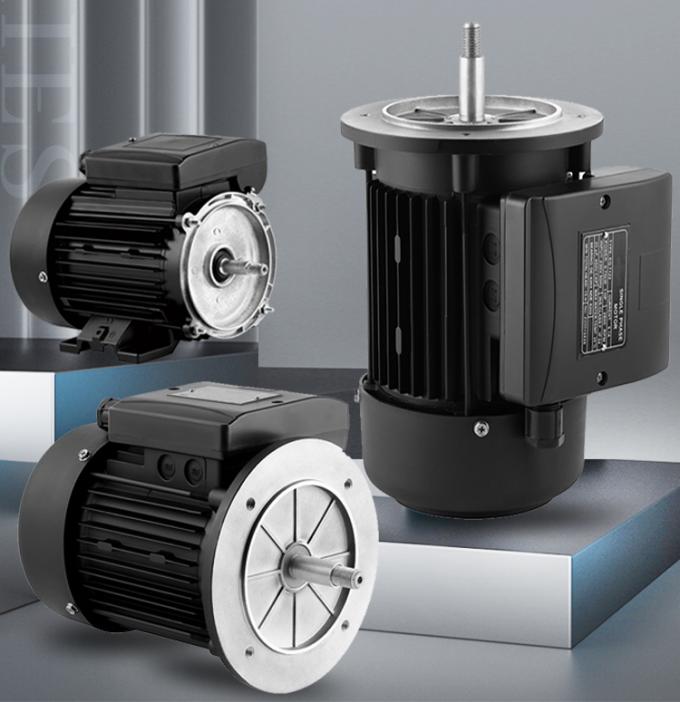 Pompes de piscine moteur asynchrone monophasique de 2800 tr/min avec boîtier en aluminium étanche et fréquence 220V 50Hz 1