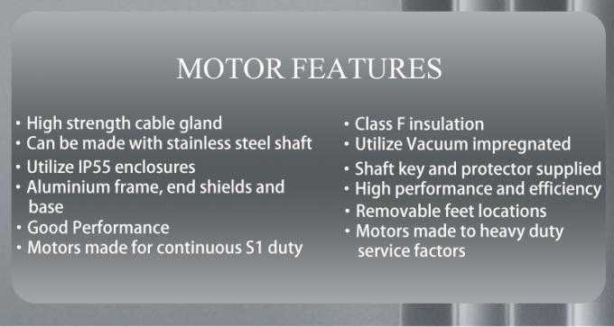 Pompes de piscine moteur asynchrone monophasique de 2800 tr/min avec boîtier en aluminium étanche et fréquence 220V 50Hz 4