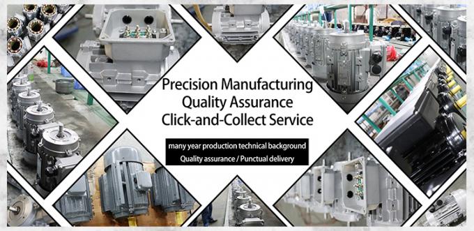 Moteur électrique asynchrone étanche 50Hz 60Hz 0,09kW 0,12CV à quatre pôles 380V 1500RPM triphasé fermé 220V CA 13