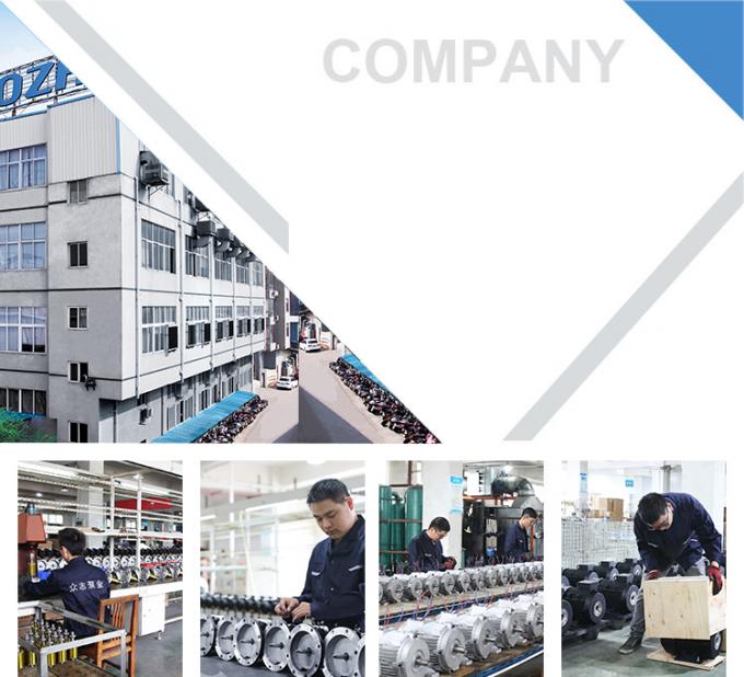 Moteur électrique asynchrone étanche 50Hz 60Hz 0,09kW 0,12CV à quatre pôles 380V 1500RPM triphasé fermé 220V CA 14