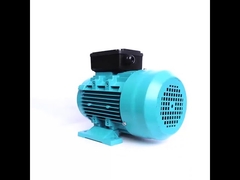 moteur à induction monophasé