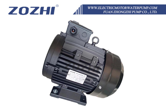 Hollow Shaft Motor 4KW 5.5HP B3 87/61 Hollow Shaft 24mm IP55 Protection 1400rpm Three Phase 380V For Pressure Cleaners And Washing Plants