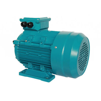 Three-Phase Waterproof High Efficiency Motor for High Pressure Washer Pump and Cleaning System
