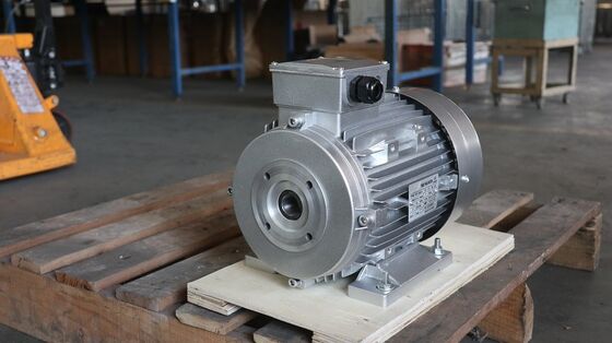 24mm Shaft Hollow Shaft Motor Engineered to Meet Requirements of Precision Motion Control and Industrial Automation