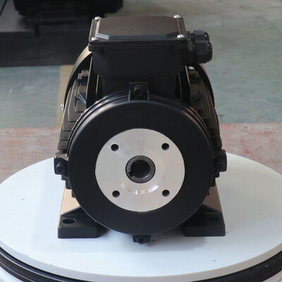 Above Sea Level Not Exceed 1000m 3 Phase Induction Motor Rated Output 0.12KW 315KW Suitable Industrial Motor Applications