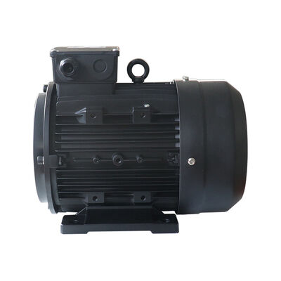 2 Pole Hollow Shaft Motor 24V Voltage Depend On Customer Requirements Ideal For Medical Devices And Laboratory Equipment