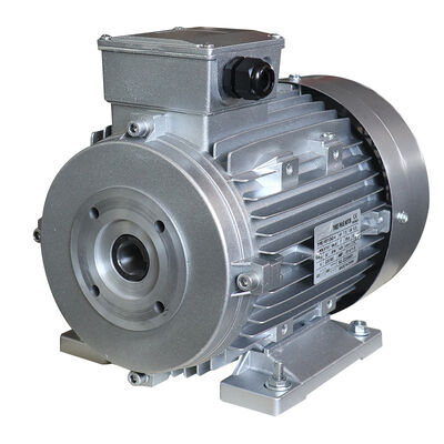 Clockwise Rotation Hollow Shaft Motor Featuring 24mm Shaft and 8.8A Current Designed for Automated Industrial Machinery
