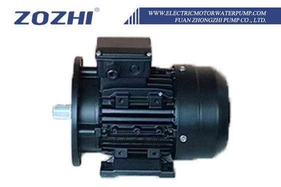 Pompe à eau à moteur électrique avec débit de 500 GPH, hauteur maximale de 25 pieds et refoulement de 20 m pour un transfert d'eau fiable