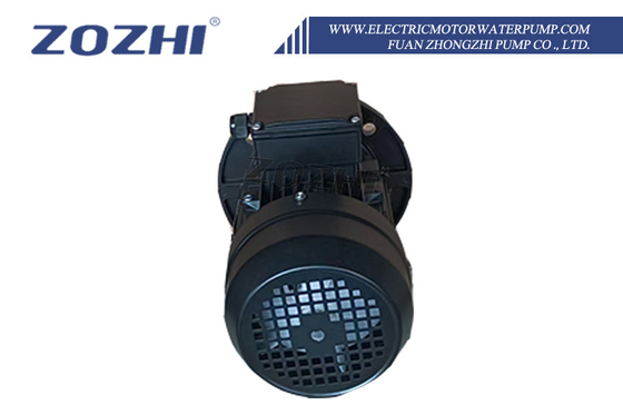 Pompe à eau à moteur électrique avec une puissance de moteur de 1,5 kW 25 pieds de tête maximale et 20 m de tête pour un transfert d'eau efficace