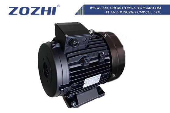 Electric Pressure Washer Hollow Shaft AC Motor 5.5HP 7.5HP ZOZHI Brand