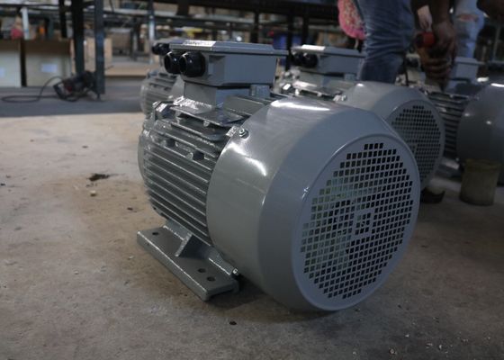 2 Pole IP55 50kw 3000rpm 3 Phase Induction Motor For Planer