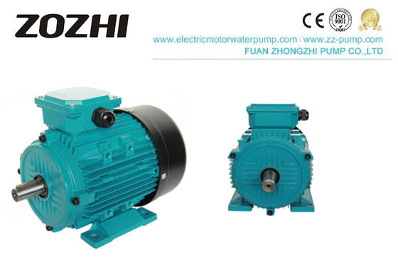 Moteur asynchrone triphasé à enveloppe en aluminium de 0,75 kW de la série MS avec protection IP54